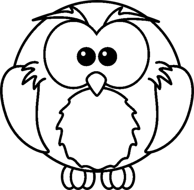 Un hibou aux ailes déployées sur une branche dans la nuit étoilée