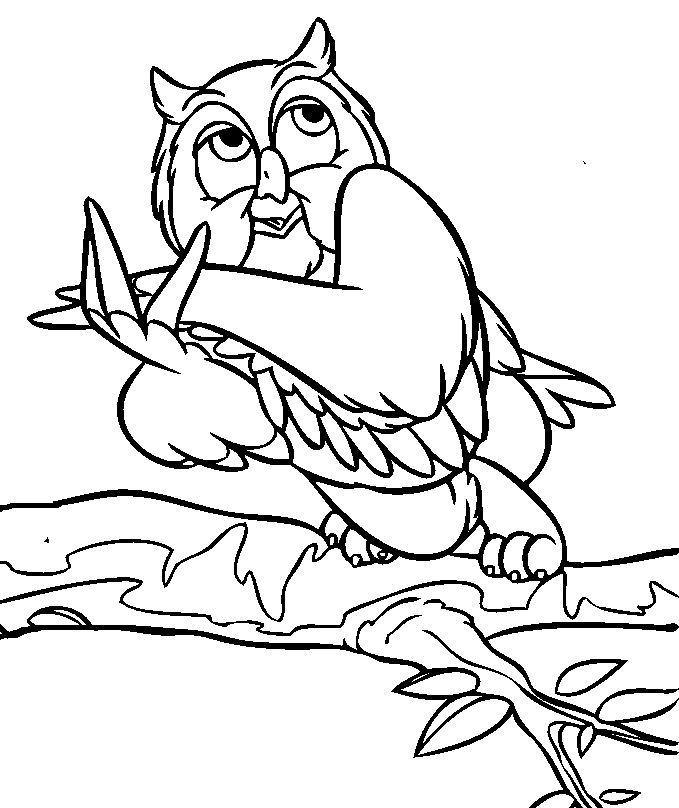 Un hibou perché sur une branche, entouré de feuillage