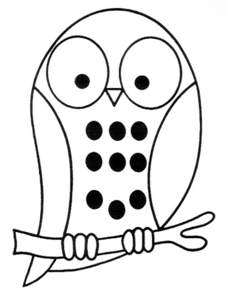 Coloriage d'un hibou perché sur une branche dans un décor naturel