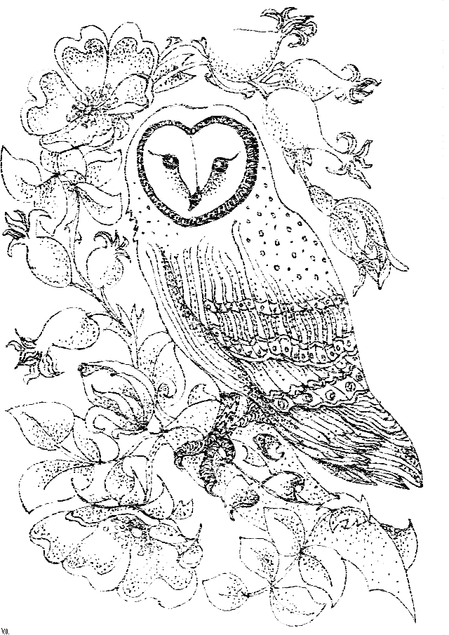 Un hibou perché sur une branche dans la nuit étoilée