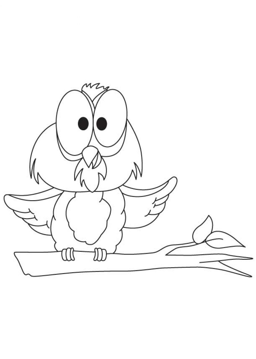 Hibou perché sur une branche entouré de motifs naturels