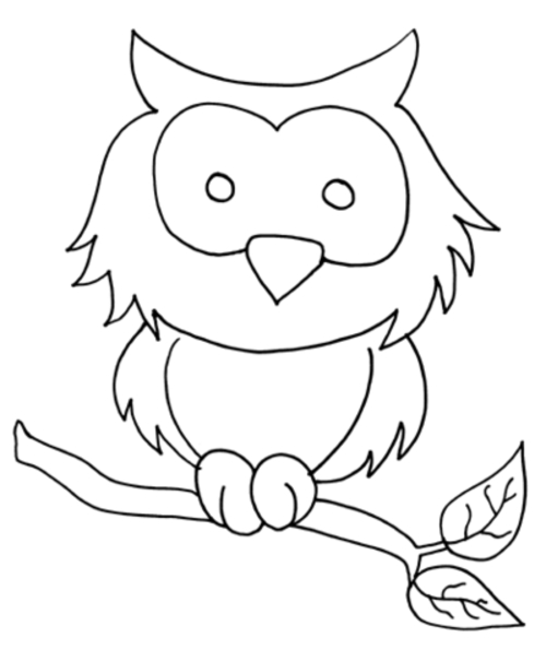 Un hibou perché sur une branche dans un décor forestier