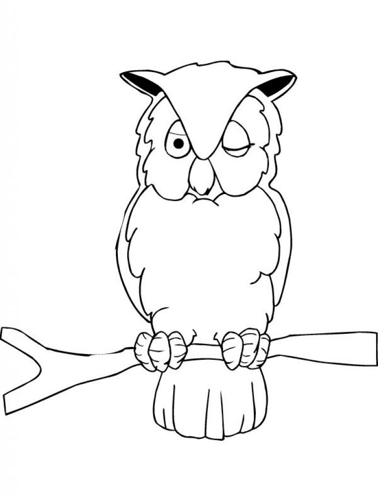 Un hibou perché sur une branche dans un décor forestier