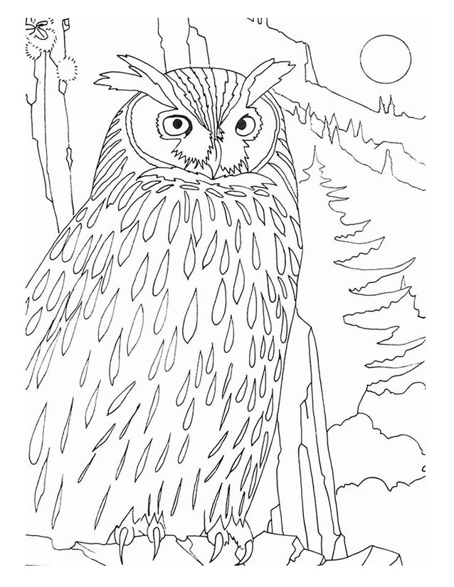 Un hibou perché sur une branche, prêt à être colorié Un hibou perché sur une branche, prêt à être colorié