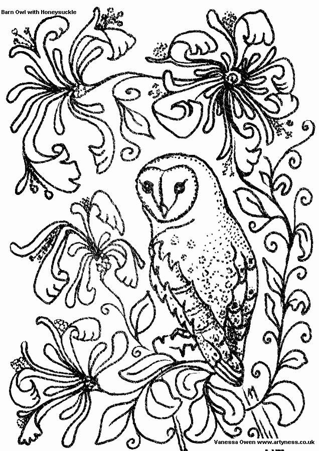 Hibou perché sur une branche avec un fond de nature