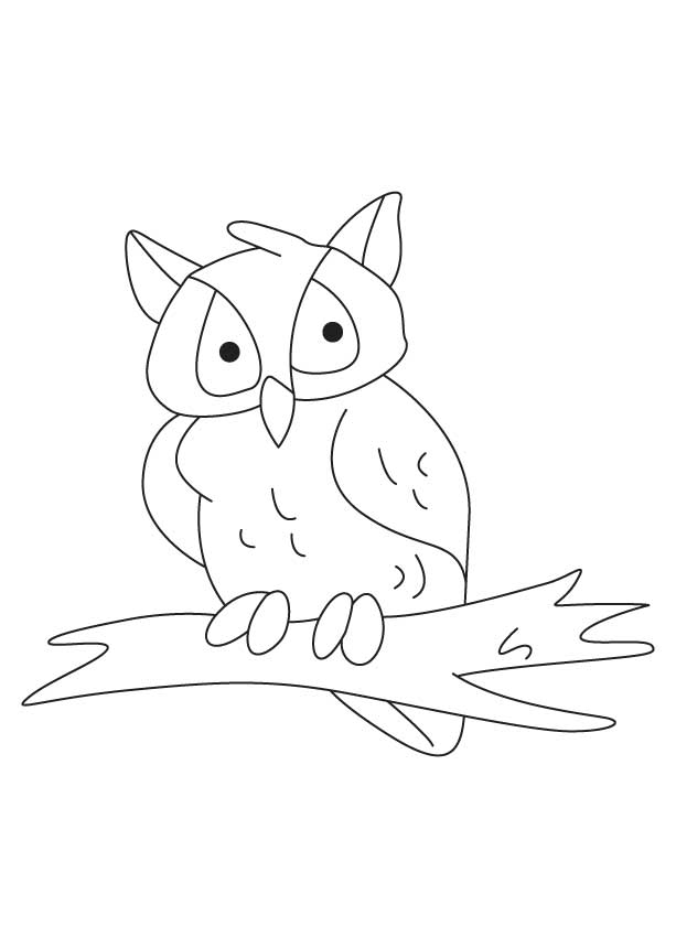 Un hibou perché sur une branche, prêt à s'envoler