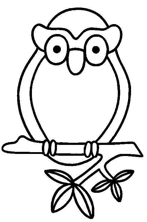 Un hibou perché sur une branche, prêt à être colorié