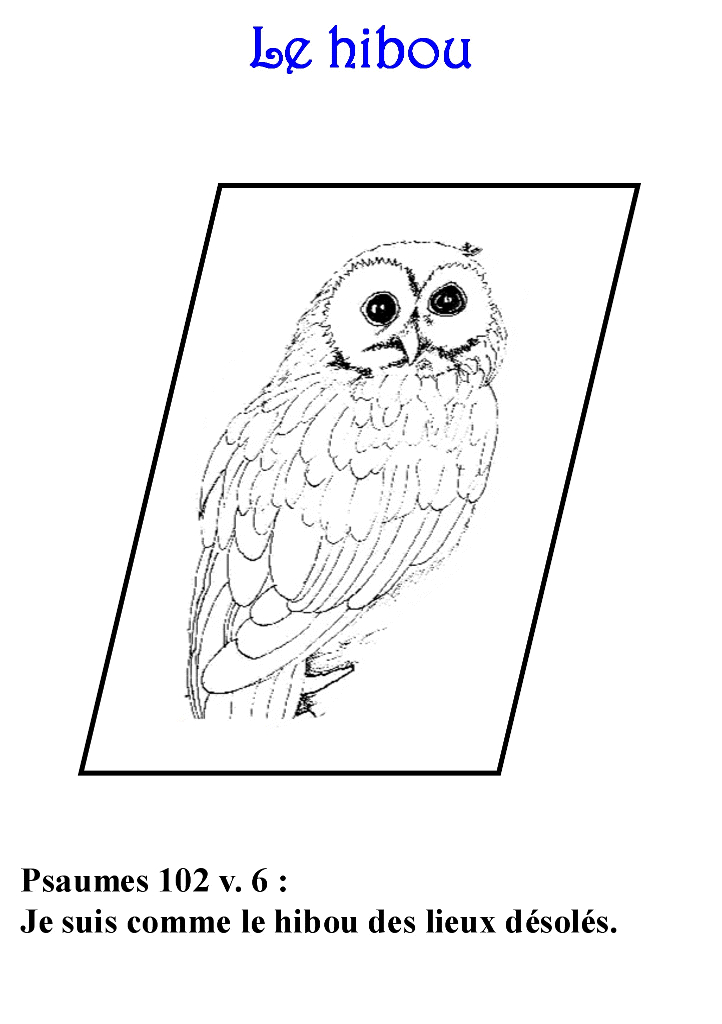 Hibou perché sur une branche dans un cadre naturel