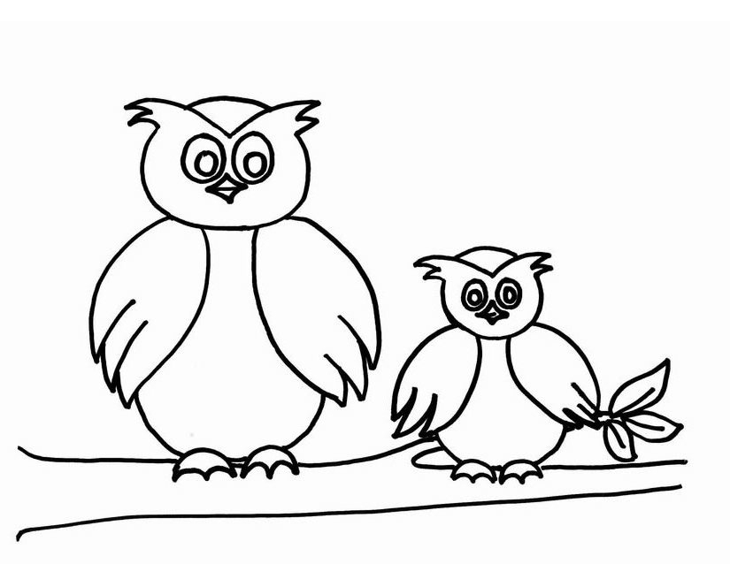Hibou perché sur une branche avec un fond naturel