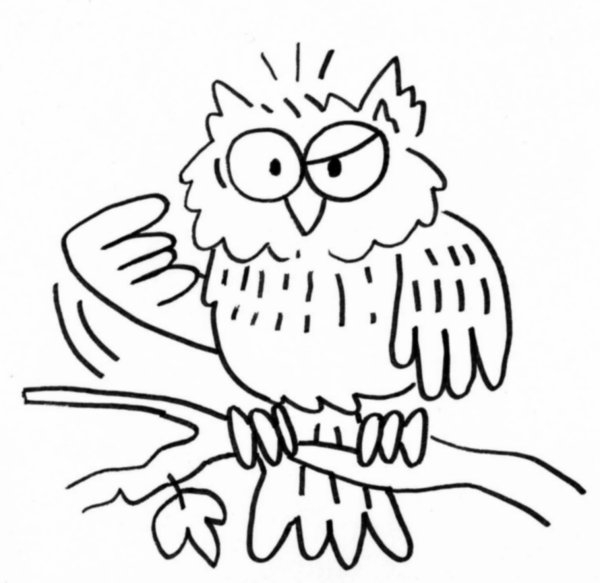 Un hibou perché sur une branche, entouré de feuillage