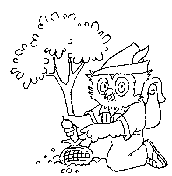 Hibou perché sur une branche, entouré de feuillage