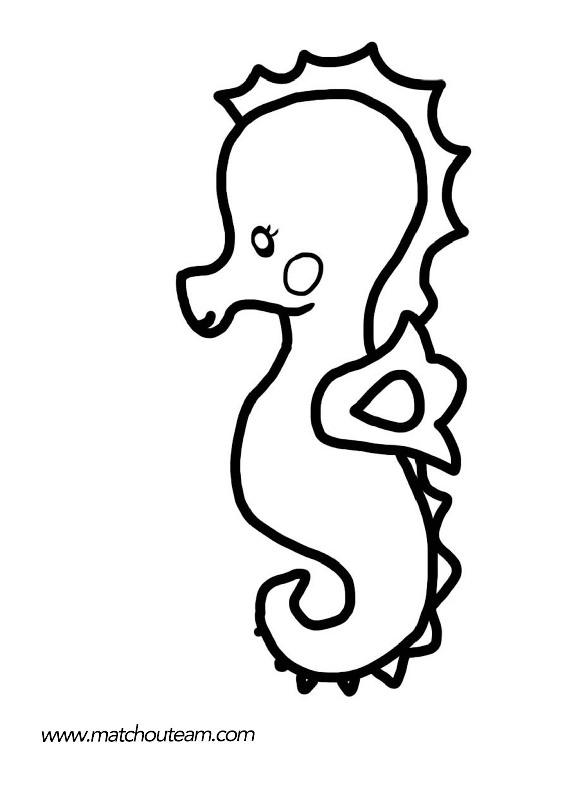 Coloriage d'un hippocampe dans son habitat marin