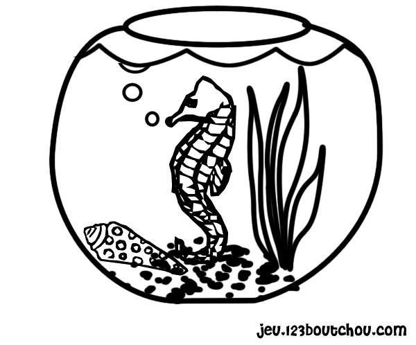 Coloriage d'un hippocampe dans un décor marin
