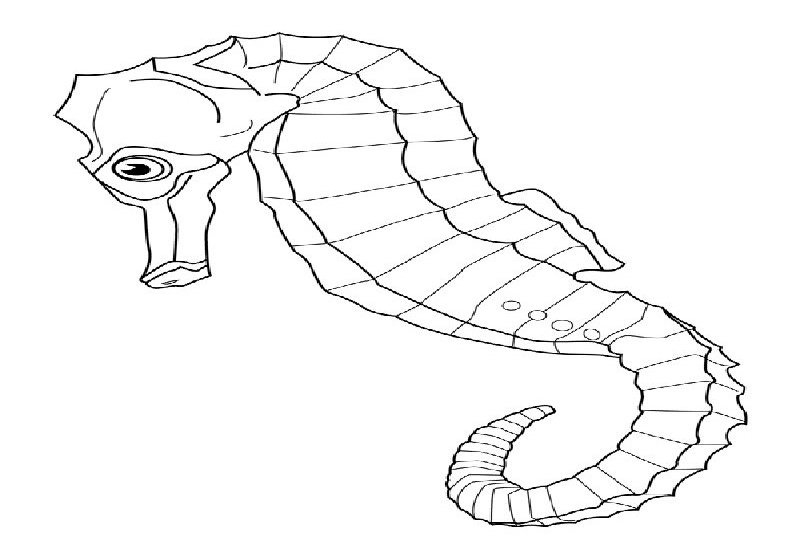 Coloriage d'un hippocampe évoluant dans les profondeurs marines