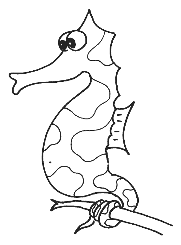 Hippocampe en pleine mer sur fond de coraux