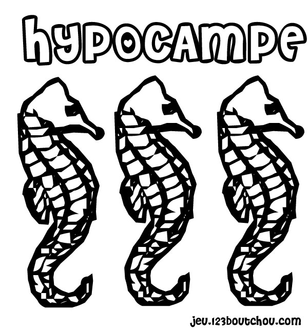 Hippocampe en pleine mer entouré d'algues