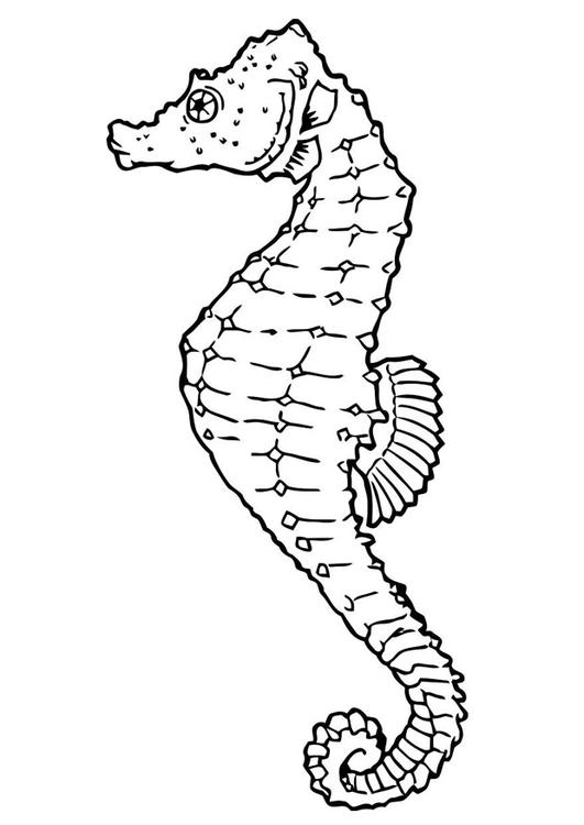 Coloriage d'un hippocampe nageant parmi des algues marines