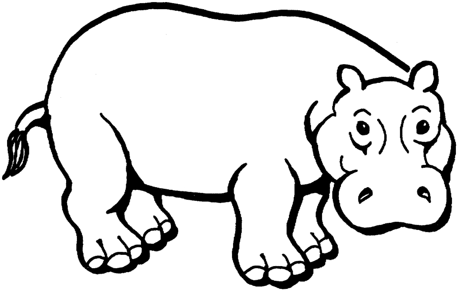 Hippopotame joyeux au bord d'une rivière
