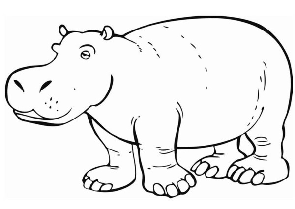 Un hippopotame joyeux se reposant au bord de l'eau