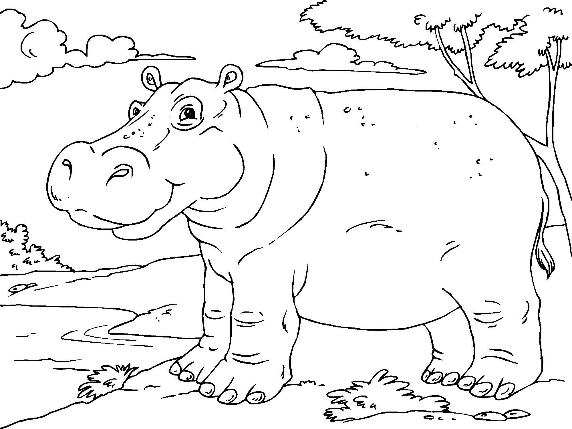 Un hippopotame joyeux se reposant au bord d'une rivière