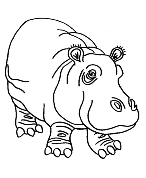 Un hippopotame joyeux se reposant au bord de l'eau