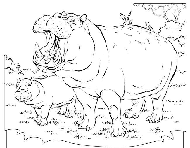 Hippopotame se reposant au bord de l'eau avec un décor aquatique
