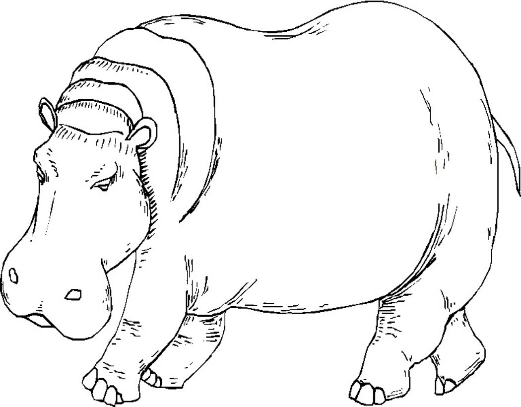 Un hippopotame joyeux se prélassant au bord de l'eau