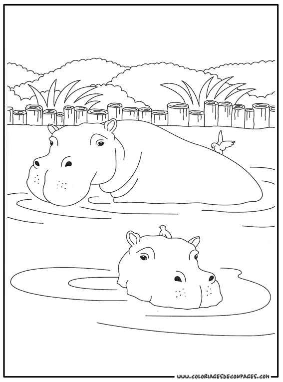 Hippopotame dans un environnement aquatique paisible