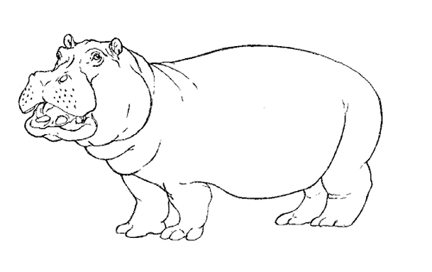 Un hippopotame joyeux dans son environnement naturel