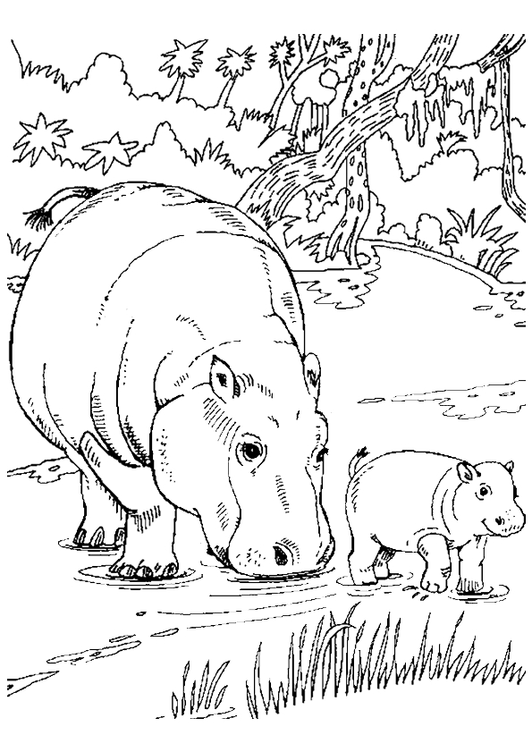 Un hippopotame se reposant sur la berge d'une rivière