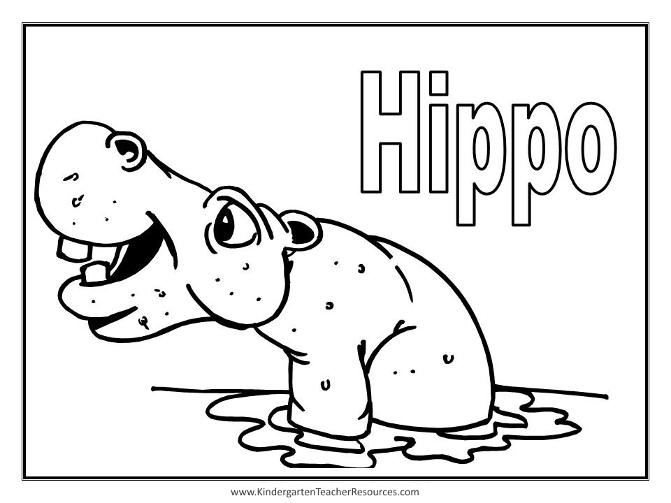 Hippopotame se reposant au bord d'une rivière