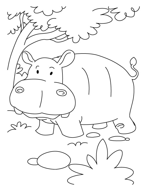 Hippopotame se reposant paisiblement au bord de l'eau