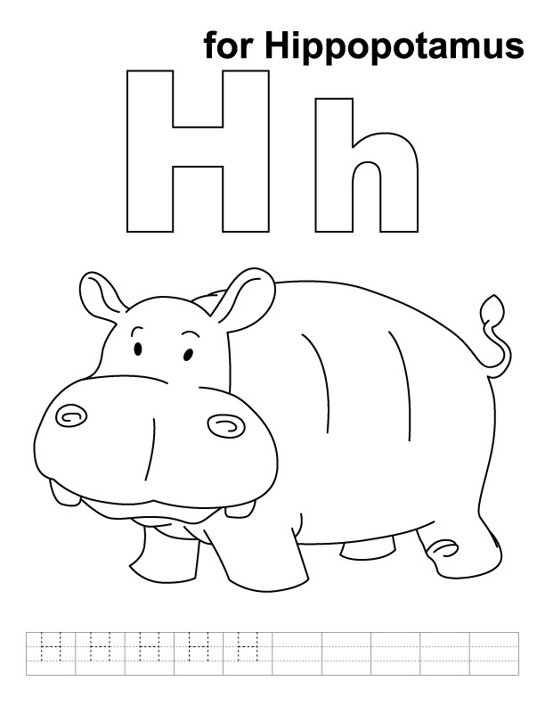 Hippopotame se reposant paisiblement au bord de l'eau