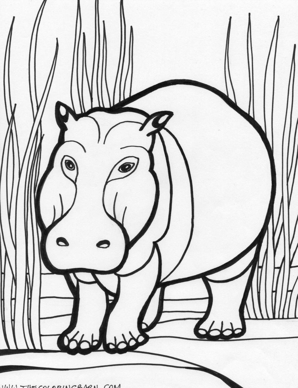 Hippopotame se reposant dans une mare entourée de végétation