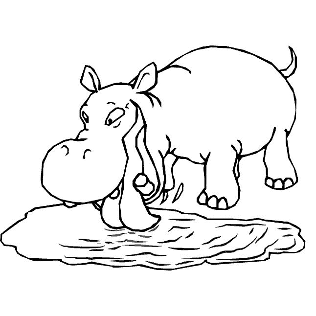 Hippopotame se reposant au bord d'une rivière