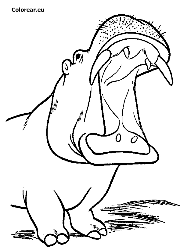 Un hippopotame joyeux se prélassant dans la savane