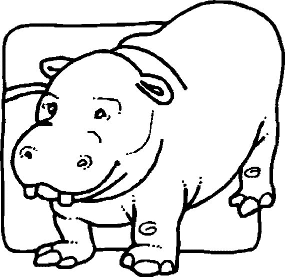 Hippopotame joyeux se reposant au bord de l'eau