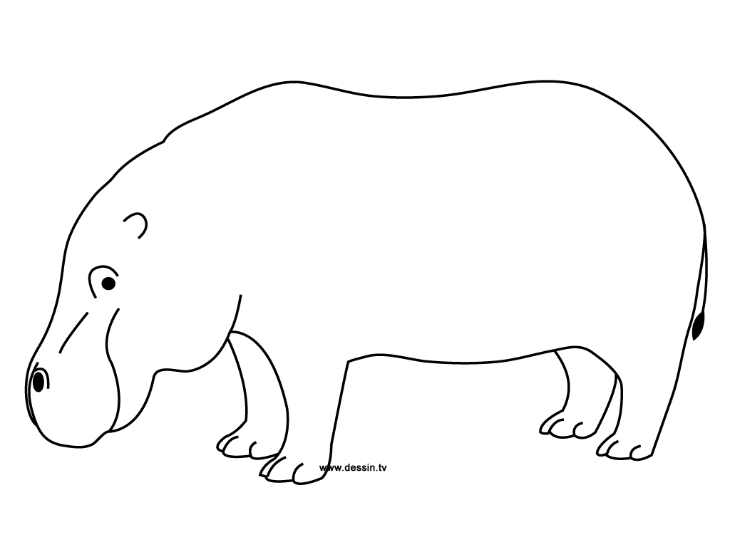 Coloriage d’un hippopotame dans son habitat naturel