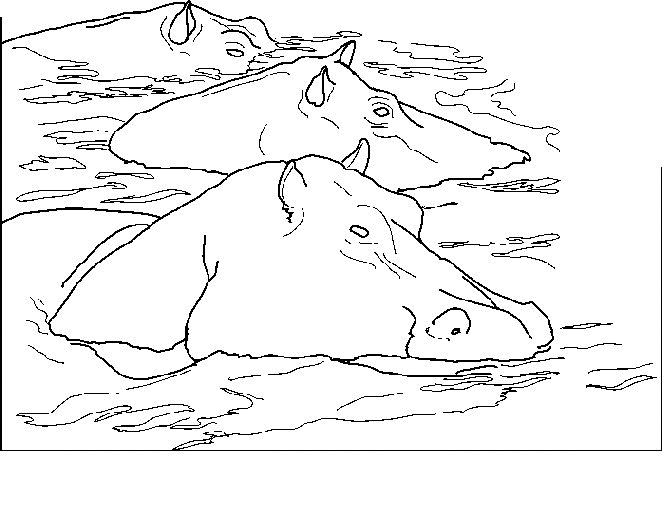 Un hippopotame joyeux se relaxe dans son habitat naturel