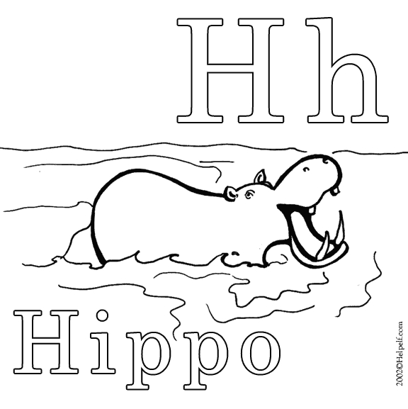 Hippopotame paisible sur un fond aquatique