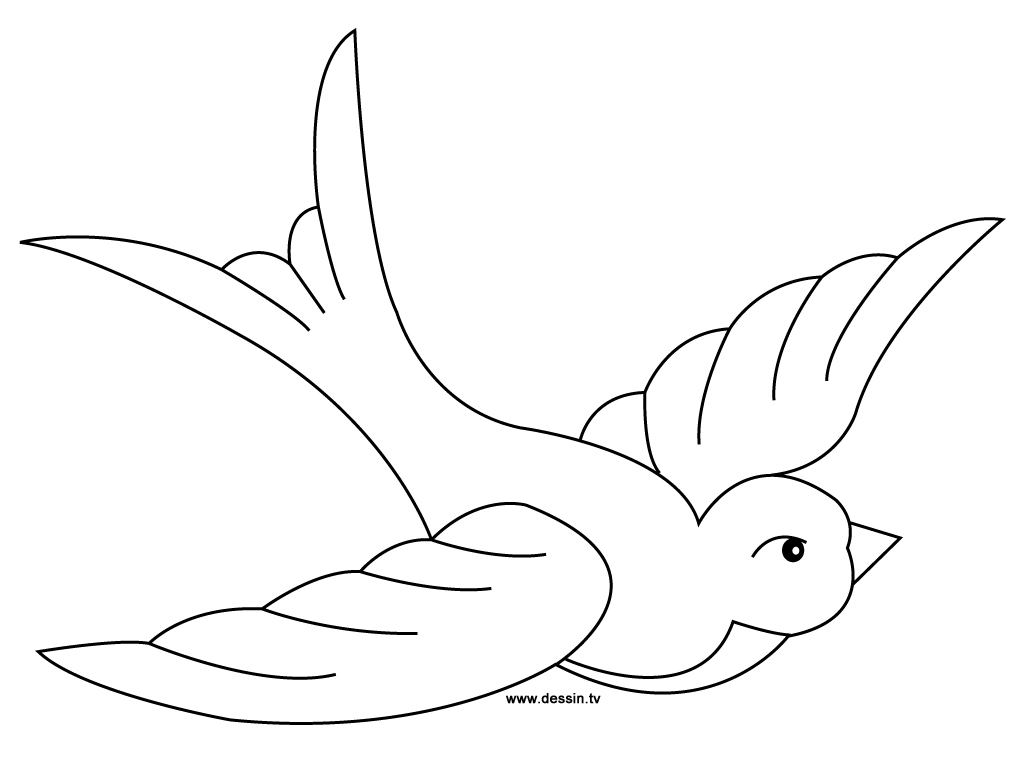 Coloriage Hirondelle #6445 à imprimer Coloriage Hirondelle #6445 à imprimer