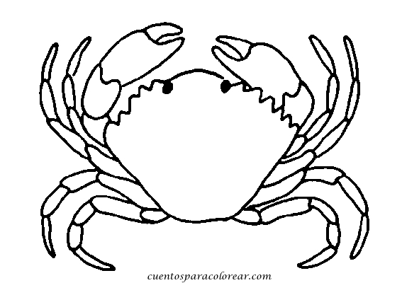 Un homard en pleine mer avec des algues et des rochers