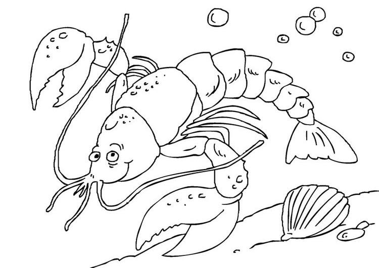 Homard en pleine mer avec des algues