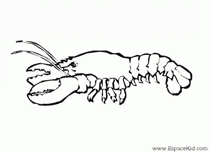 Coloriage d'un homard sur fond marin