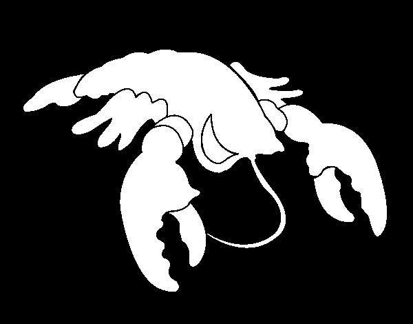 Homard sur fond marin prêt à être colorié