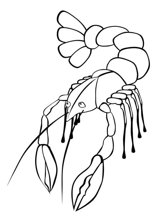 Homard en pleine mer entouré d'algues et de bulles