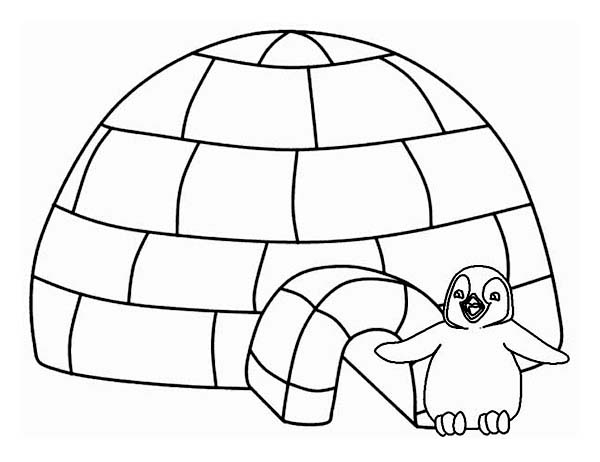 Scène de coloriage d'un igloo sous un ciel étoilé avec un paysage hivernal