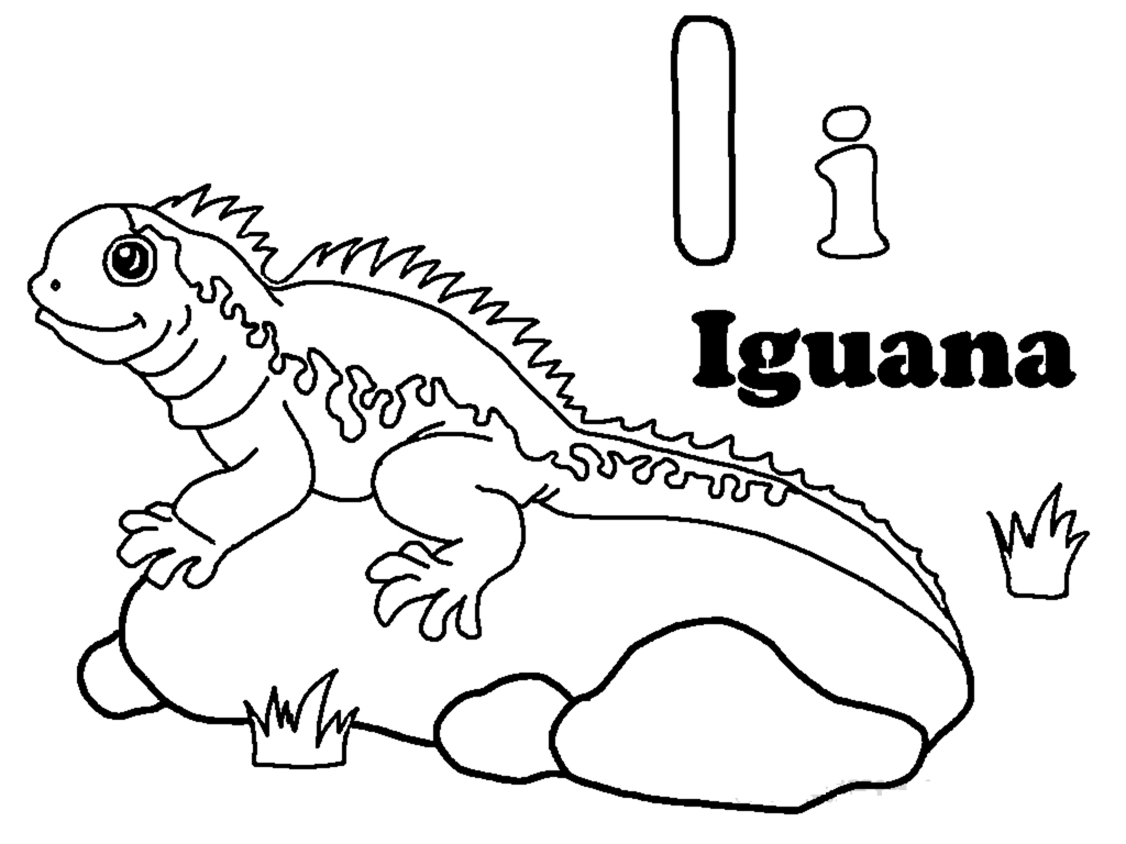 Coloriage d'un iguane sur une branche dans un environnement tropical