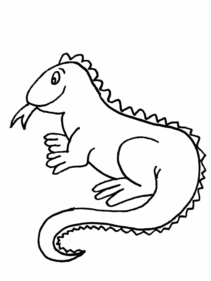 Un iguane se prélassant sur une branche dans son habitat naturel