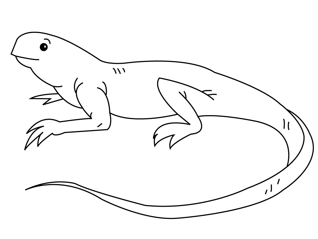 Coloriage d'un iguane se reposant sur une branche Coloriage d'un iguane se reposant sur une branche